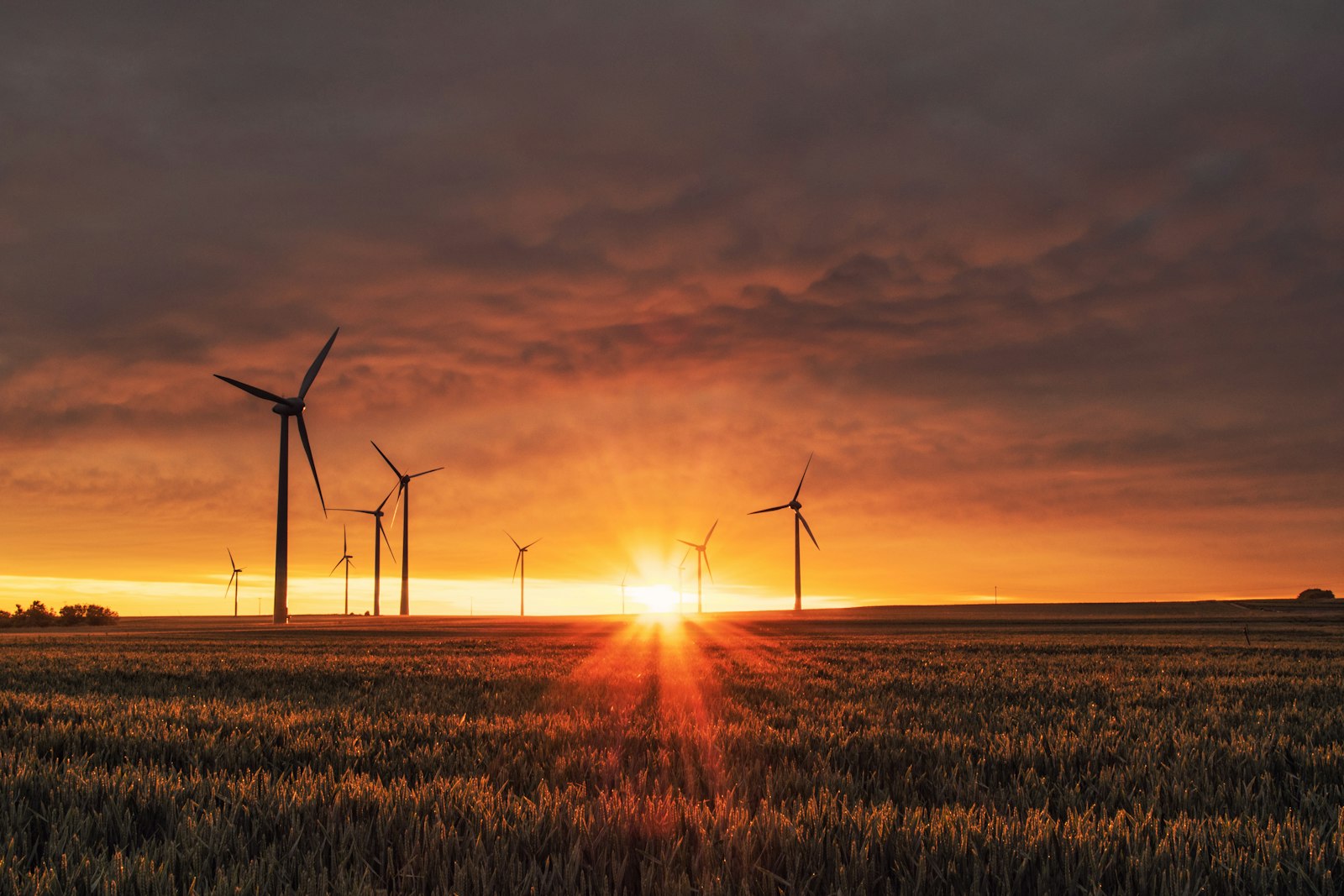 Aerial view of renewable energy infrastructure — sustainability intelligence