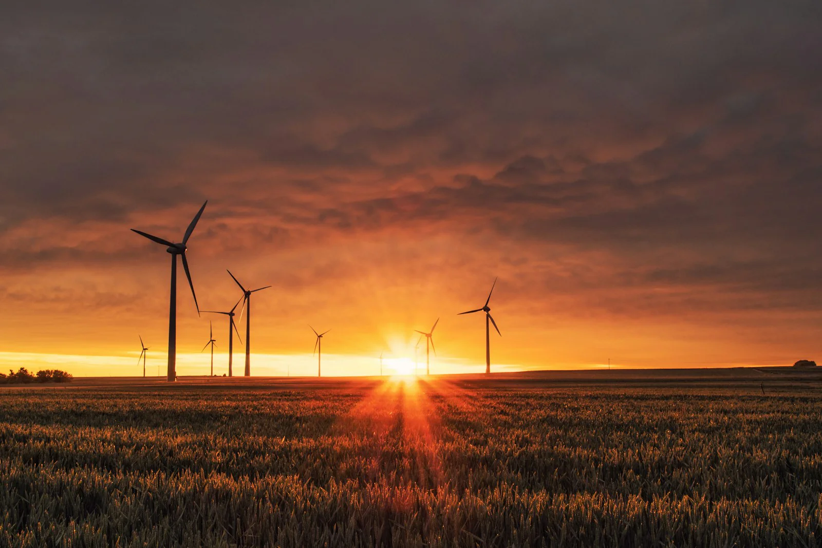 Aerial view of renewable energy infrastructure — sustainability intelligence